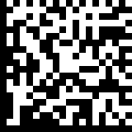GS1 DataMatrix